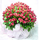 Hình đại diện của thành viên