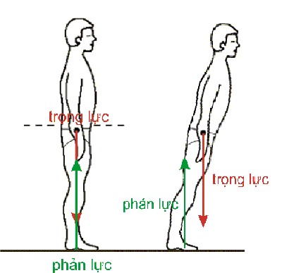balance2.gif